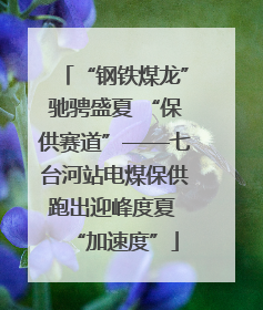 “钢铁煤龙”驰骋盛夏 “保供赛道”——七台河站电煤保供跑出迎峰度夏 “加速度”