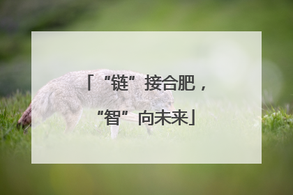 “链”接合肥，“智”向未来
