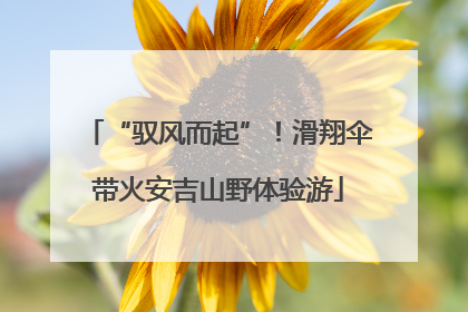 “驭风而起”！滑翔伞带火安吉山野体验游