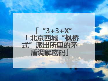 “3+3+X”！北京西城“枫桥式”派出所里的矛盾调解密码