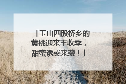 玉山四股桥乡的黄桃迎来丰收季，甜蜜诱惑来袭！