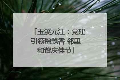 玉溪元江：党建引领粽飘香 邻里和谐庆佳节