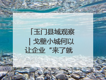 玉门县域观察｜戈壁小城何以让企业“来了就不想走”？