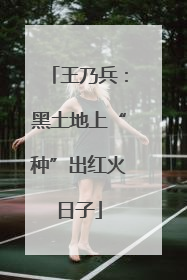王乃兵：黑土地上“种”出红火日子
