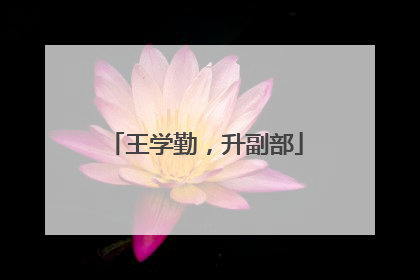 王学勤，升副部