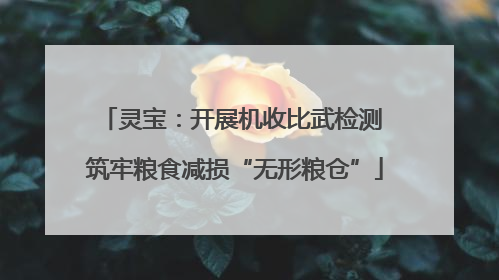 灵宝：开展机收比武检测 筑牢粮食减损“无形粮仓”