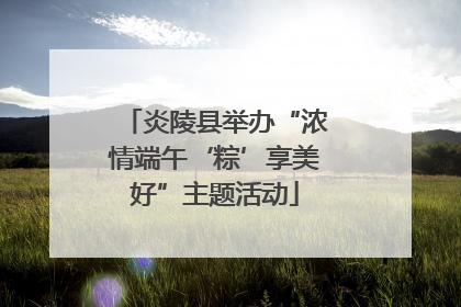 炎陵县举办“浓情端午‘粽’享美好”主题活动