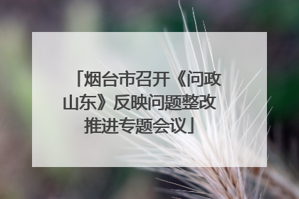 烟台市召开《问政山东》反映问题整改推进专题会议