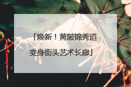 焕新！黄陂锦秀道变身街头艺术长廊