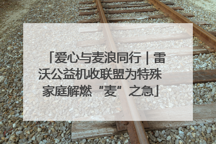 爱心与麦浪同行｜雷沃公益机收联盟为特殊家庭解燃“麦”之急