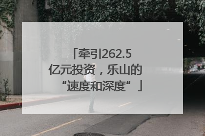 牵引262.5亿元投资，乐山的“速度和深度”