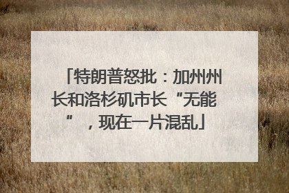 特朗普怒批：加州州长和洛杉矶市长“无能”，现在一片混乱