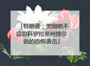 特朗普：美国绝不容忍科罗拉多州博尔德的恐怖袭击