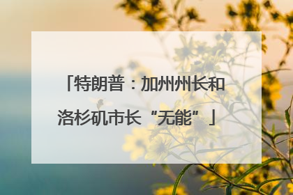 特朗普：加州州长和洛杉矶市长“无能”