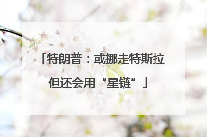 特朗普：或挪走特斯拉 但还会用“星链”