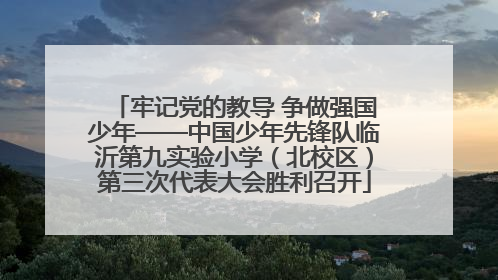 牢记党的教导 争做强国少年——中国少年先锋队临沂第九实验小学（北校区）第三次代表大会胜利召开