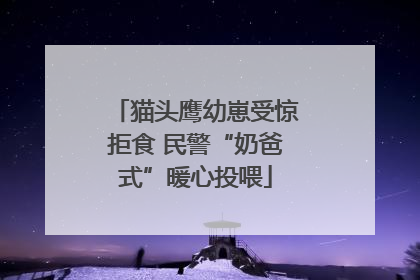 猫头鹰幼崽受惊拒食 民警“奶爸式”暖心投喂