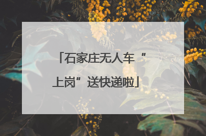 石家庄无人车“上岗”送快递啦