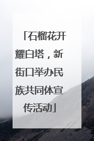 石榴花开耀白塔，新街口举办民族共同体宣传活动