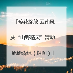 琼花绽放 云南凤庆“山野精灵”舞动原始森林（组图）
