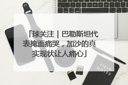 球关注｜巴勒斯坦代表掩面痛哭，加沙的真实现状让人痛心