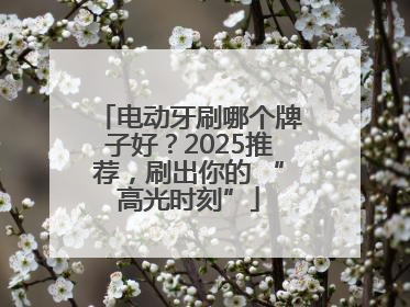电动牙刷哪个牌子好？2025推荐，刷出你的 “高光时刻”