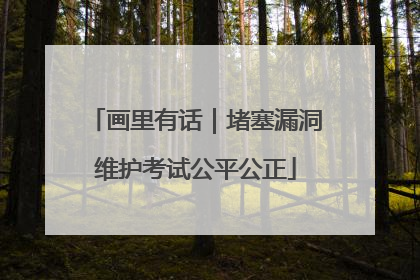 画里有话｜堵塞漏洞维护考试公平公正