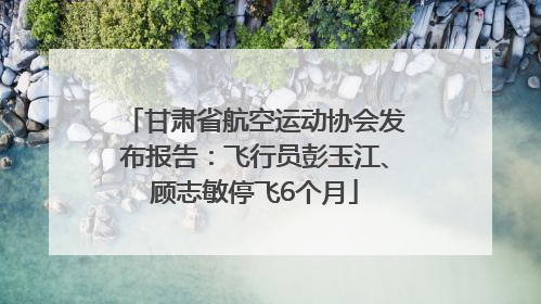 甘肃省航空运动协会发布报告：飞行员彭玉江、顾志敏停飞6个月