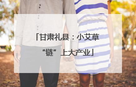 甘肃礼县：小艾草“链”上大产业