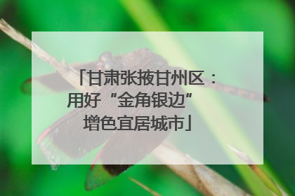 甘肃张掖甘州区：用好“金角银边” 增色宜居城市