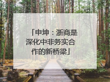 申坤:浙商是深化中非务实合作的新桥梁