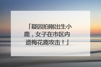 疑因拍刚出生小鹿，女子在市区内遭梅花鹿攻击！