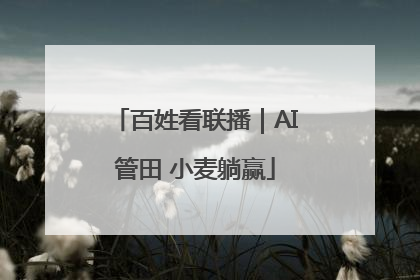 百姓看联播｜AI管田 小麦躺赢