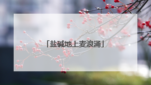 盐碱地上麦浪涌