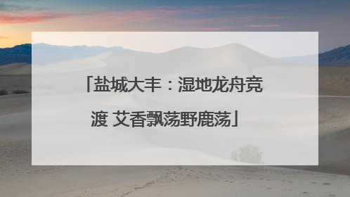 盐城大丰：湿地龙舟竞渡 艾香飘荡野鹿荡