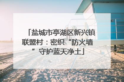 盐城市亭湖区新兴镇联盟村：密织“防火墙”守护蓝天净土