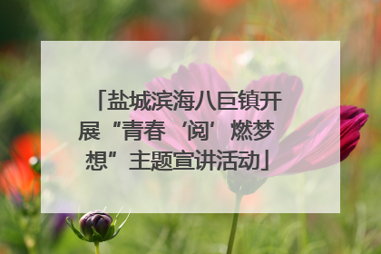 盐城滨海八巨镇开展“青春‘阅’燃梦想”主题宣讲活动