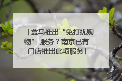 盒马推出“免打扰购物” 服务？南京已有门店推出此项服务