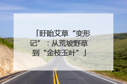 盱眙艾草“变形记”：从荒坡野草到“金枝玉叶”
