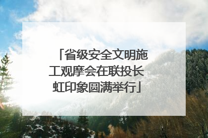 省级安全文明施工观摩会在联投长虹印象圆满举行