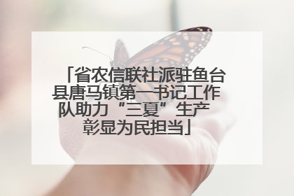 省农信联社派驻鱼台县唐马镇第一书记工作队助力“三夏”生产 彰显为民担当