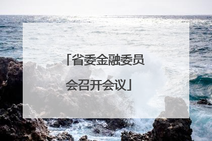 省委金融委员会召开会议