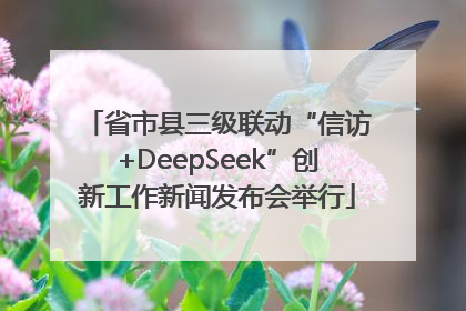 省市县三级联动“信访+DeepSeek”创新工作新闻发布会举行