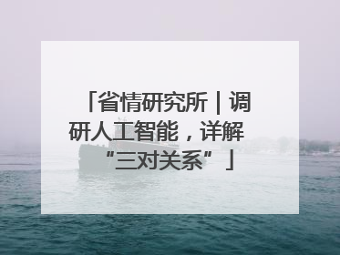省情研究所｜调研人工智能，详解“三对关系”