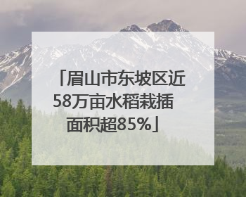 眉山市东坡区近58万亩水稻栽插面积超85%