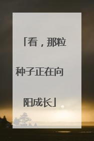 看，那粒种子正在向阳成长