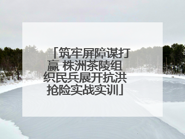 筑牢屏障谋打赢 株洲茶陵组织民兵展开抗洪抢险实战实训