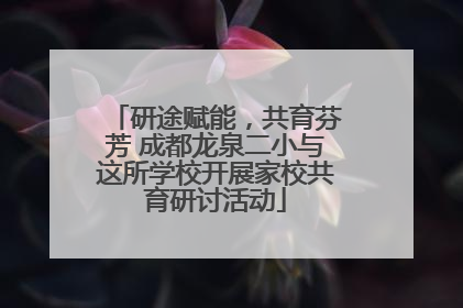 研途赋能，共育芬芳 成都龙泉二小与这所学校开展家校共育研讨活动