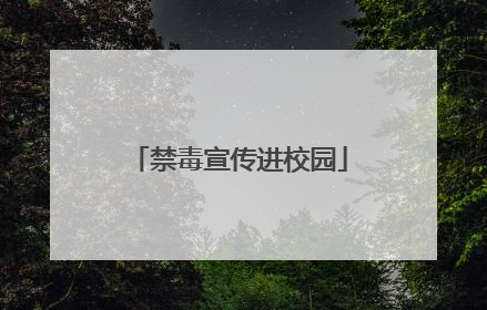 禁毒宣传进校园