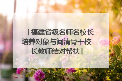 福建省级名师名校长培养对象与闽清骨干校长教师结对帮扶